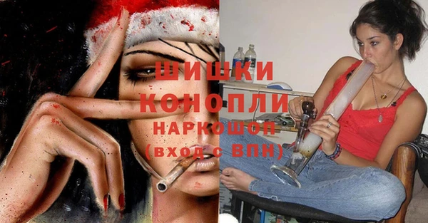 шишки Козельск