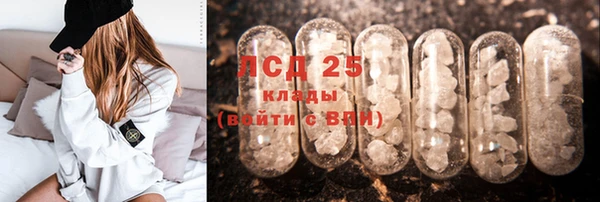 шишки Козельск